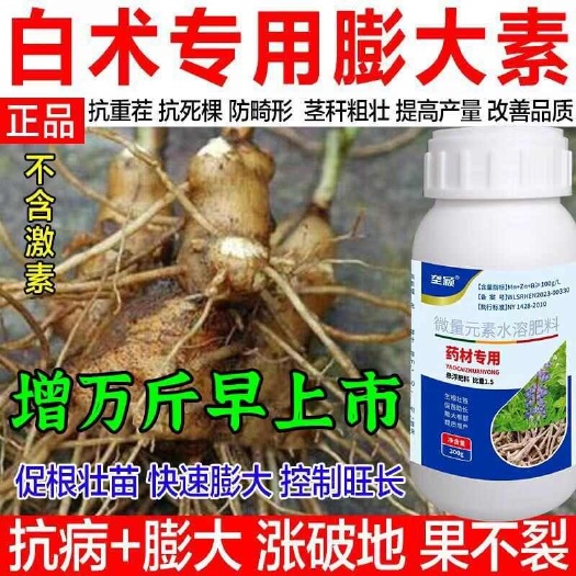 白术专用膨大剂防裂白术地下根茎膨大素促根壮苗膨大防病增产肥