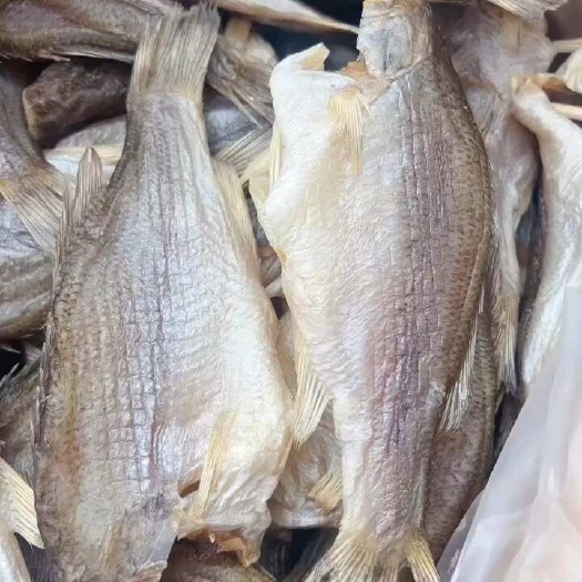 佛山鲈鱼干 地摊 电商 淡水鲈鱼干 卢仔 卢肉 特大号鲈鱼干
