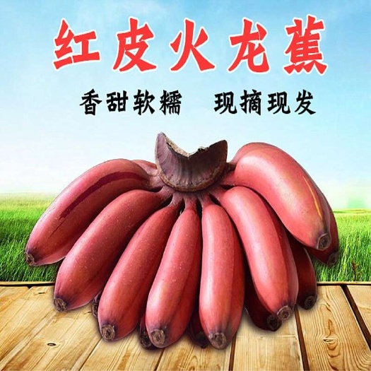 龙岩土楼红香蕉红美人蕉玫瑰蕉3斤/5斤/8斤一件代发