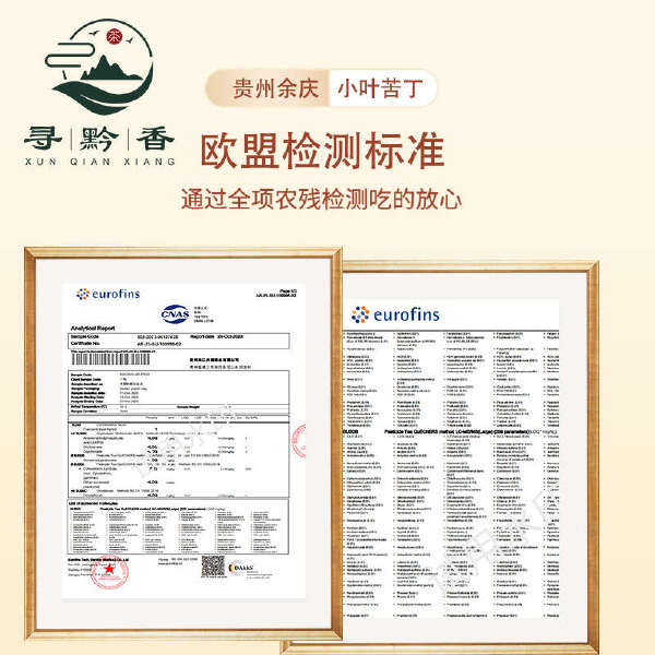 贵州余庆特级发酵小叶苦丁茶厂家直销支持一件代发贴牌加盟