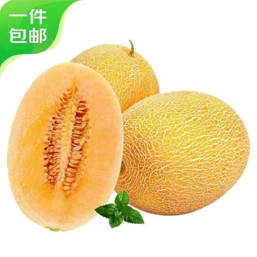正宗新疆哈密瓜新鲜水果原产地直发黄皮甜瓜黄金蜜瓜金色年华