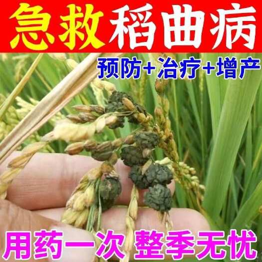栾川县水稻稻瘟病稻曲病纹枯病矮缩病水稻病全治黄叶病秧苗防病药专用药
