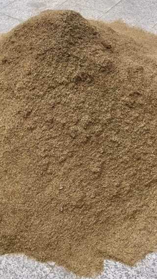 蒲公英种子 野生蒲公英籽 包发芽率 免费提供技术 可回收产品