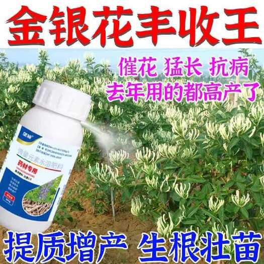 栾川县金银花专用叶面肥促花催花座果保花保果结果多增产防病害落花落叶