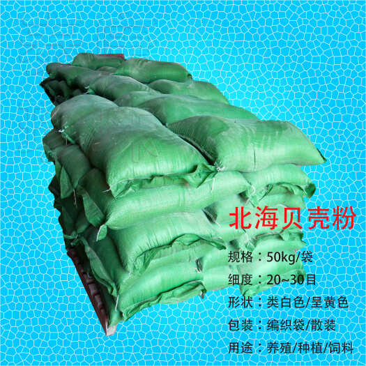北海北海贝壳粉种植养殖家禽家畜专用贝类粉