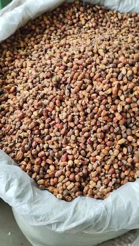 红蔻红扣红寇无硫红豆蔻增香回味去异味卤料调味料香辛料火锅配料