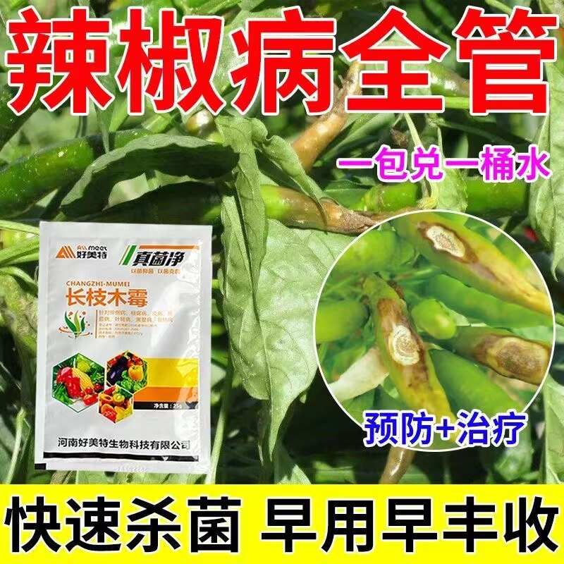 辣椒病全治炭疽病根腐疫病农用杀菌剂蔬菜果树长枝木霉叶斑蔓专用