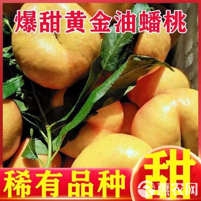 蒙阴蜜桃甜多汁黄油蟠桃彩虹油蟠桃4斤净果