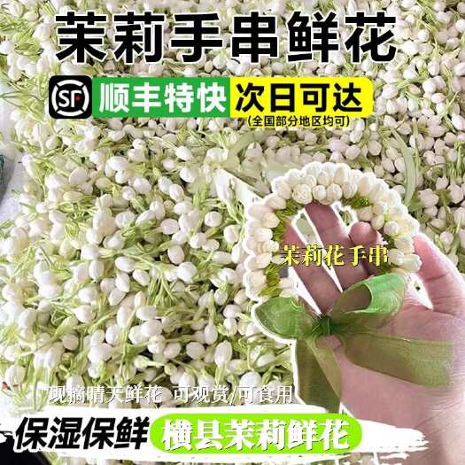 横州市【顺丰发货】现摘茉莉花鲜花苞鲜切花朵新鲜花苞茉莉花卉手串手环