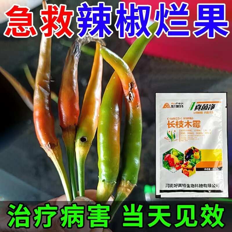 辣椒病全治炭疽病根腐疫病农用杀菌剂蔬菜果树长枝木霉叶斑蔓专用