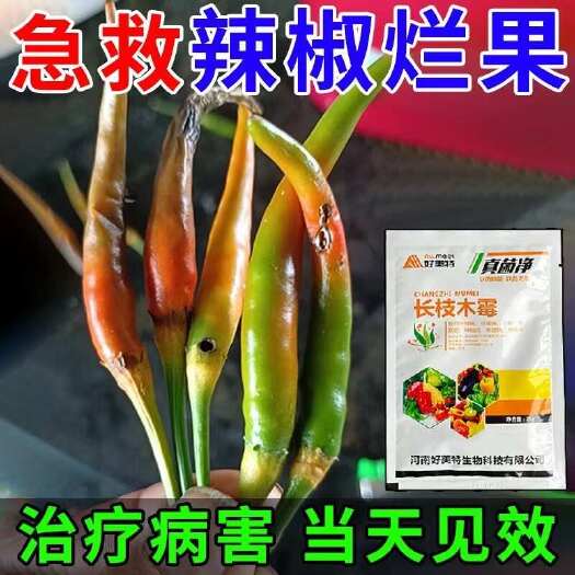 栾川县辣椒病全治炭疽病根腐疫病农用杀菌剂蔬菜果树长枝木霉叶斑蔓专用