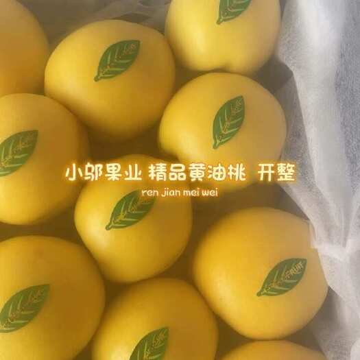 青龙县油桃