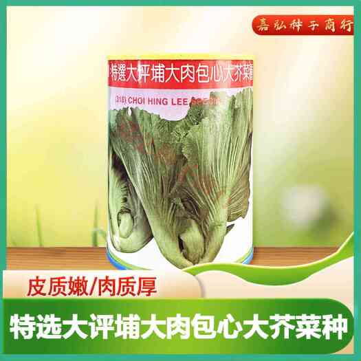 义乌市蔡興利大坪埔大肉包心芥菜种子 结球力较好肉质厚皮质嫩 60天