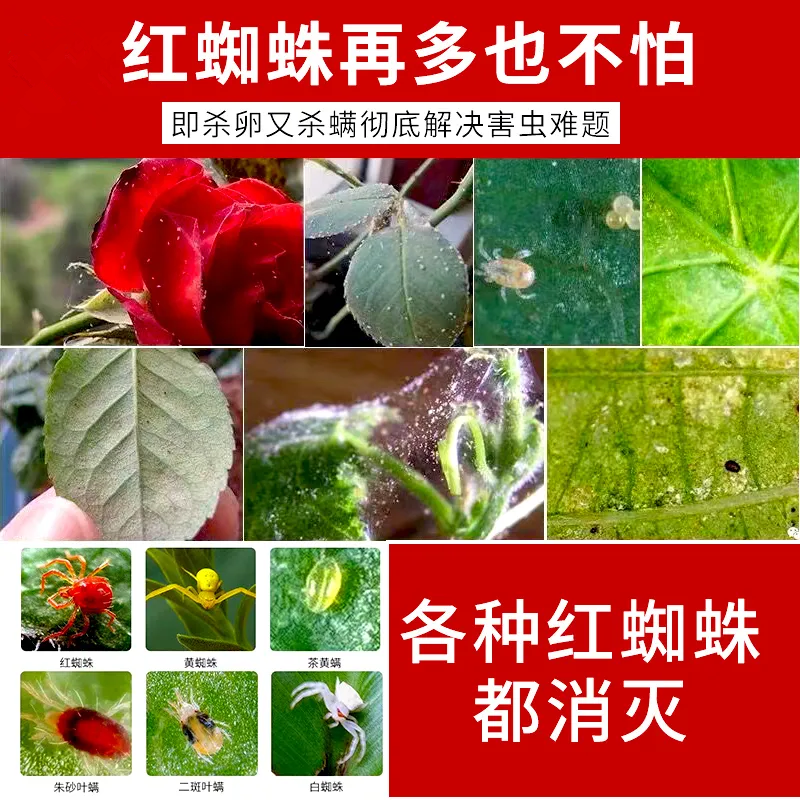 2%阿维螺螨酯红蜘蛛白蜘蛛黄蜘蛛叶螨全抓螨柑橘果树蔬菜中药