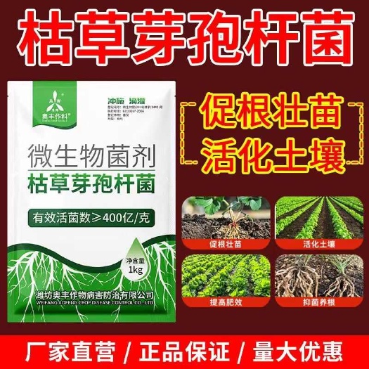 潍坊微生物菌剂  枯草芽孢杆菌1kg改土固氮解磷降药物残留生根