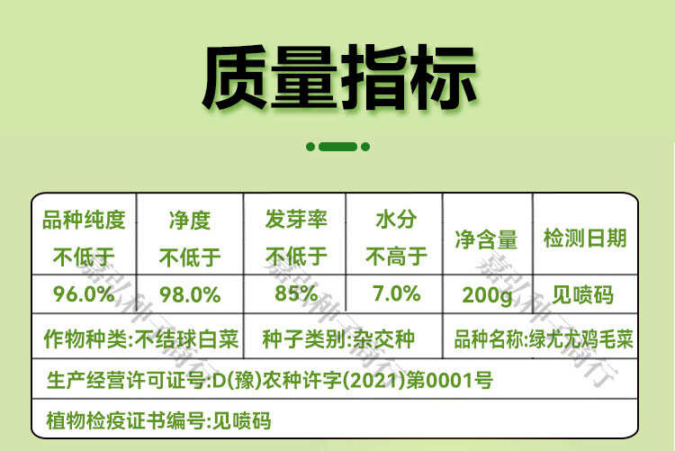 绿尤尤杂交鸡毛菜种子 耐热性好耐雨水 生长速度快 不易拔节