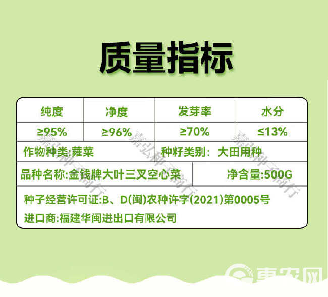 金钱牌大叶三叉空心菜 三叉率高叶大耐高温耐湿 供应期长产量高