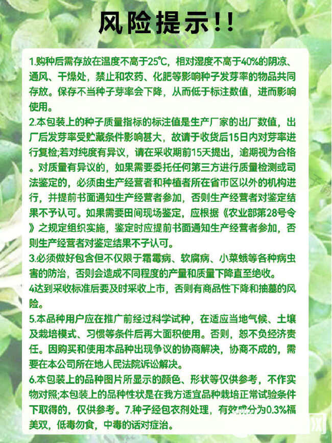 绿尤尤杂交鸡毛菜种子 耐热性好耐雨水 生长速度快 不易拔节