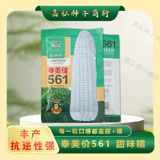 奉美佳甜糯白玉米籽 出苗至采收79天左右 籽粒白色 抗病性极