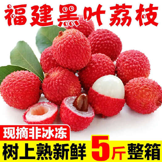 漳浦县【顺丰/京东】广州/福建黑叶荔枝乌叶荔枝3斤/5斤装一件代发