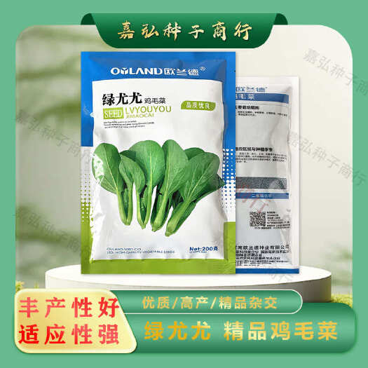 义乌市绿尤尤杂交鸡毛菜种子 耐热性好耐雨水 生长速度快 不易拔节