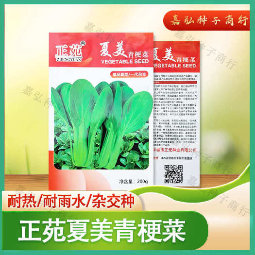 义乌市夏美杂交直立青梗菜种子 耐热耐雨水纤维少适应性好叶质柔软