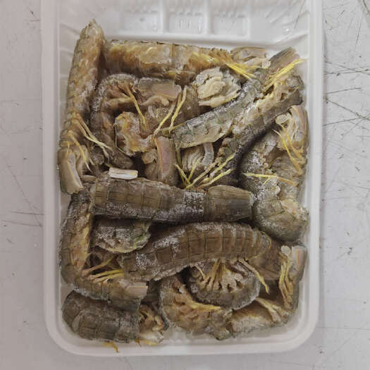 阳江活冻皮皮虾（可生腌）