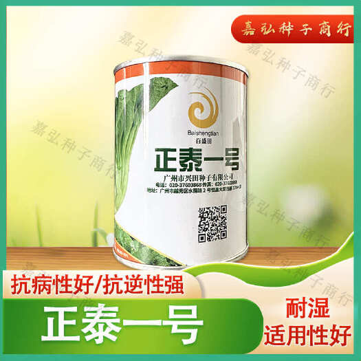 义乌市正泰一号芥菜种子 60天左右可采收 抗病性好较耐湿 品质脆纤