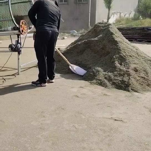 靖邊縣地椒