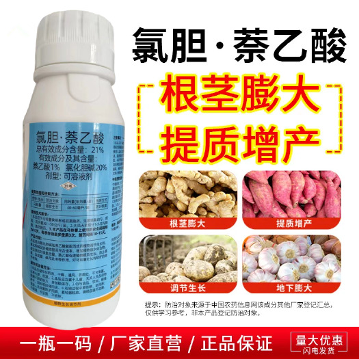 21%氯胆萘乙酸植物生长调节剂根茎膨大增产地瓜土豆大蒜萝卜