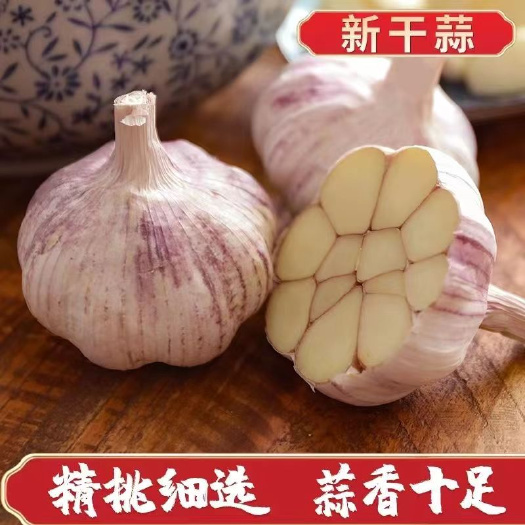 金鄉(xiāng)縣金鄉(xiāng)本地蒜，米料紫白皮大蒜頭2024新鮮祘頭籽農(nóng)家蒜米種
