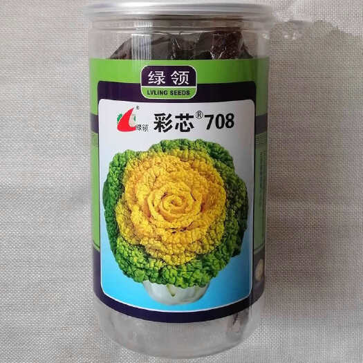 漯河彩芯708黄心菜种子 黄心乌种子 心叶黄 束腰 耐低温