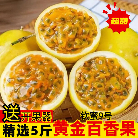 安远县【现货秒发】钦蜜9号黄金百香果新鲜专业无痕对接电商一件代发