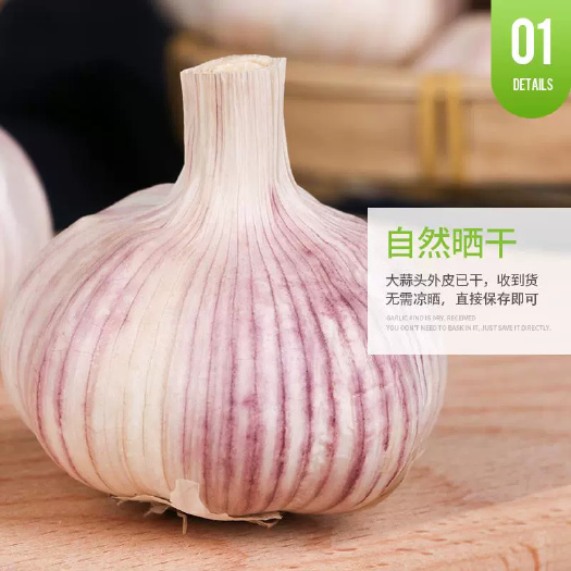 山東金大蒜頭，干蒜新鮮，紫皮大蒜，非獨(dú)頭蒜新蒜米干蒜頭多