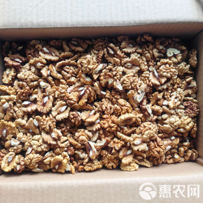 新疆阿克苏185纸皮核桃仁批发 工厂现剥原味生核桃仁500g