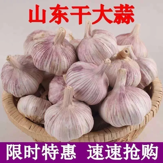 金乡县山东金乡太空蒜皮红瓣红，适合发高端市场超市可批发量大