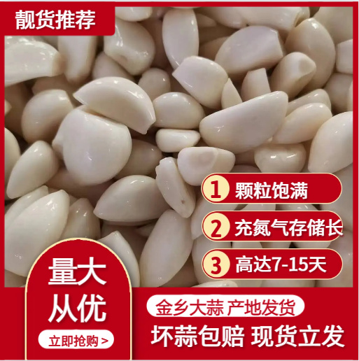 金乡县山东金乡出口，一级蒜米不切根伤掰少冲氮气保存时间比一般蒜米长