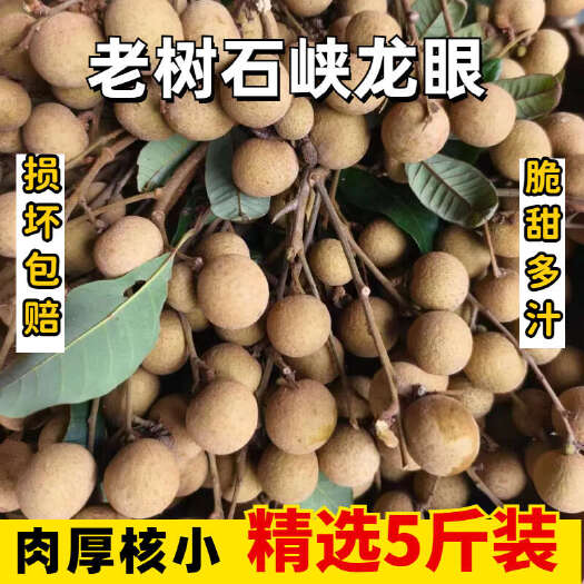 现摘海南龙眼果肉厚紧致基地直供现货秒发