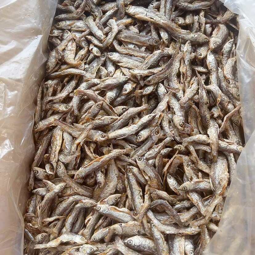 开肚油炸白条鱼 展会地摊电商油 白条鱼 兰刀鱼干 干鱼