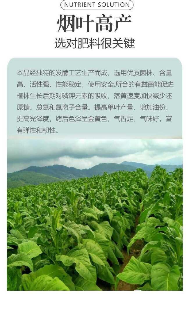 落黄钾烟叶转黄素消除黑暴促进落黄分层转色成色均匀提高品质专用