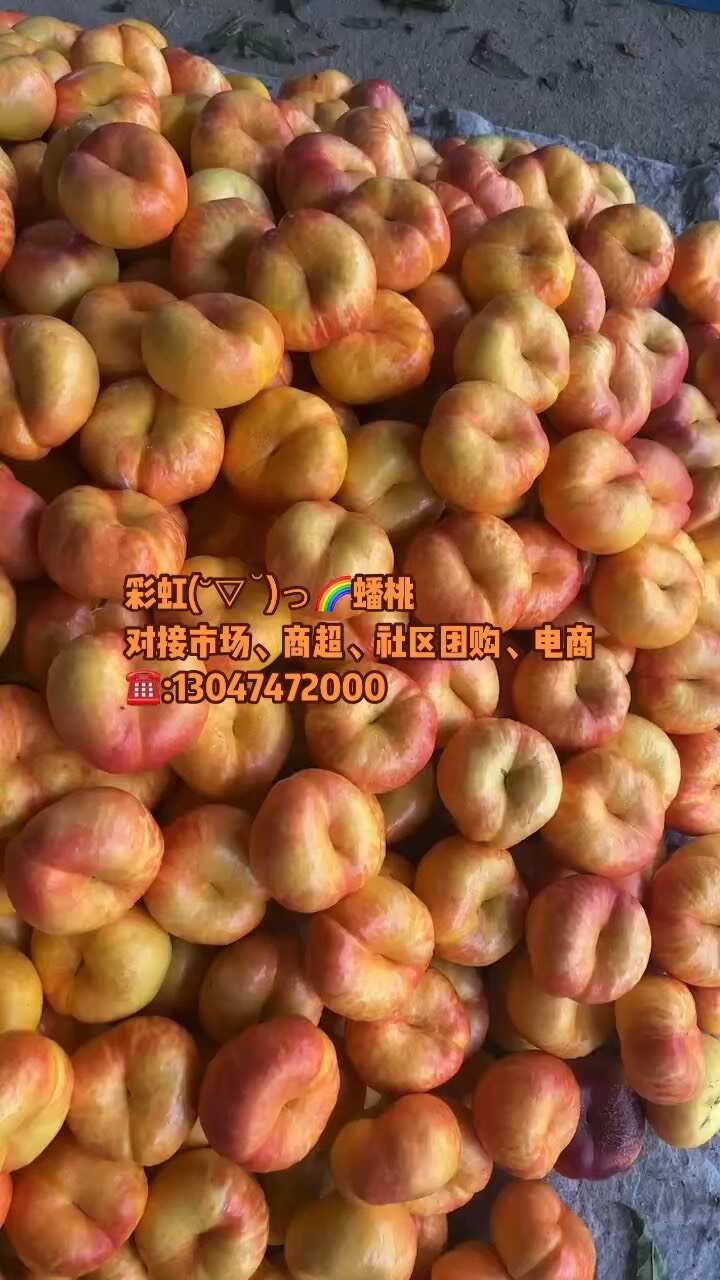 山东蒙阴山东蒙阴彩虹油蟠桃对接市场电商一件代发