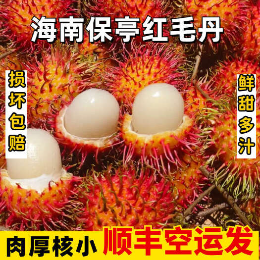 保亭县【顺丰空运】现摘海南保亭红毛丹基地直发现货秒发批发代发