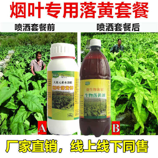 长沙烟叶烤黄套餐生物烤黄剂烟叶落黄钾黑烟暴烟消除剂农用烟叶烤黄剂