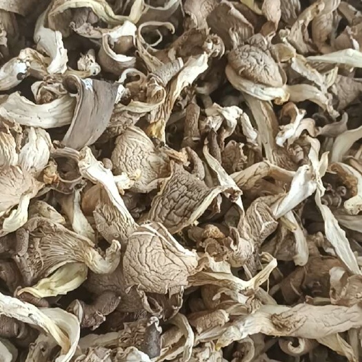 邯郸2024新货干平菇干蘑菇食用菌干货纯净重基地发货批发价
