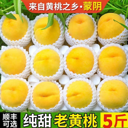 蒙阴县山东锦绣黄桃黄金蜜桃黄毛桃黄金蜜罐蜜5斤一件代发