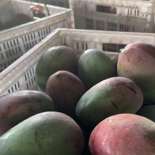 昆明凯特芒一件代发批发整车做货