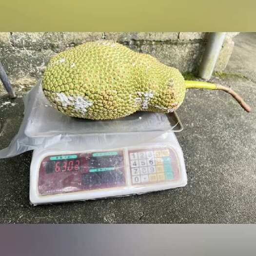 琼中县榴莲蜜