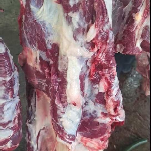 郑州鲜驴肉