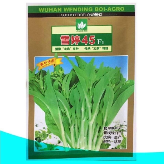 雪婷45白菜苔种子 耐热耐寒 侧苔萌发快 苔浅绿白 抗病