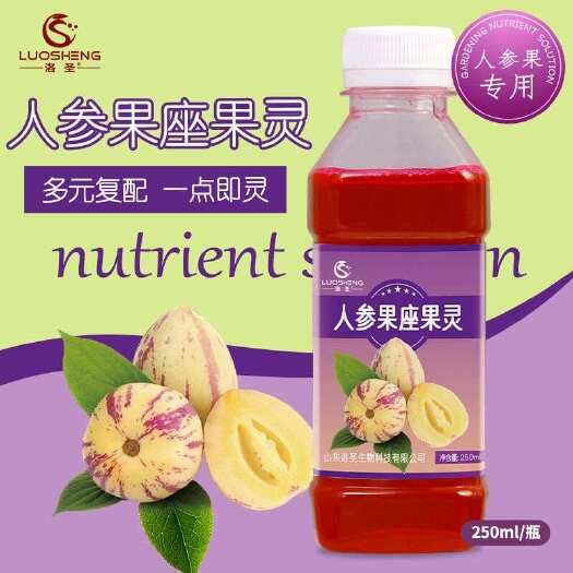 寿光市人参果专用座果灵强力座果果大防畸防治落果果型美观增产提质